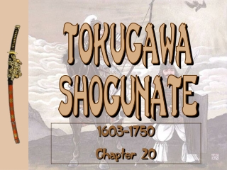 Tokugawa Shogunate