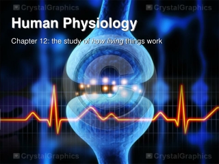 Human Physiology