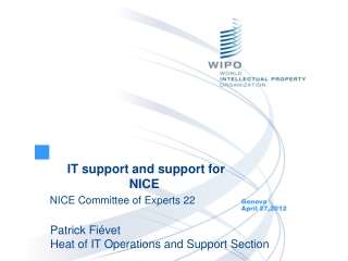 IT support and support for NICE NICE Committee of Experts 22