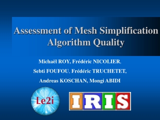 Assessment of Mesh Simplification Algorithm Quality