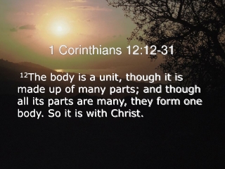 1 Corinthians 12:12-31