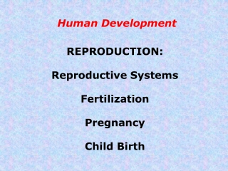 Human Development