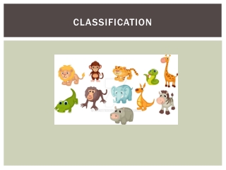 Classification