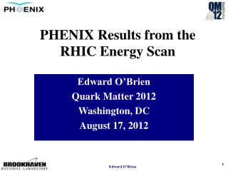 PHENIX Results from the RHIC Energy Scan