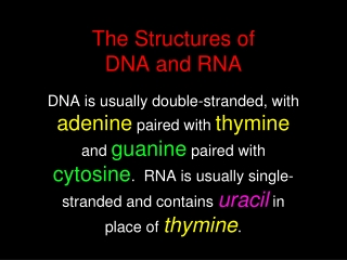 The Structures of DNA and RNA