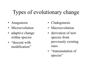 Types of evolutionary change