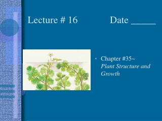 Lecture # 16             Date _____