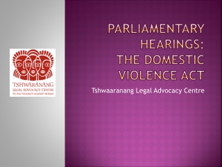 Parliamentary hearings: the domestic violence act