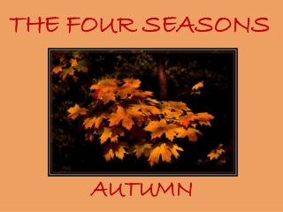 THE FOUR SEASONS