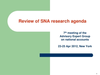 Review of SNA research agenda