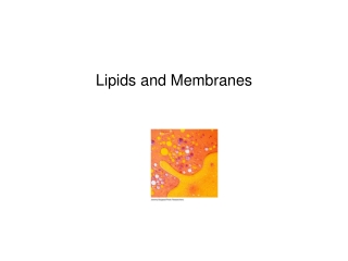 Lipids and Membranes