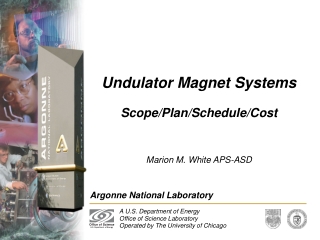 Undulator Magnet Systems