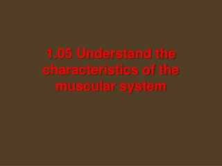 1.05 Understand the characteristics of the muscular system