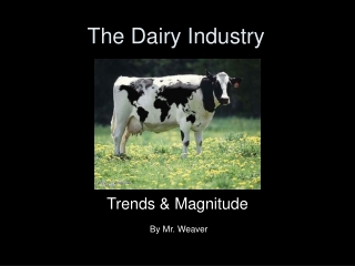 The Dairy Industry