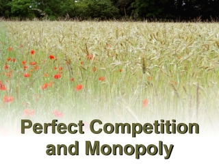 Perfect Competition and Monopoly