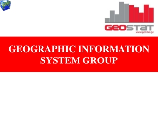 GEOGRAPHIC INFORMATION  SYSTEM GROUP