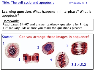 Title: The cell cycle and apoptosis 15 th  January 2014