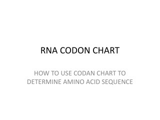 RNA CODON CHART