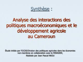 Synthèse : Analyse des interactions des politiques macroéconomiques et le développement agricole au Cameroun