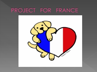 PROJECT   FOR   FRANCE