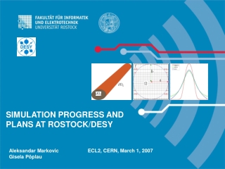 SIMULATION PROGRESS AND PLANS AT ROSTOCK/DESY