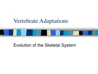 Vertebrate Adaptations