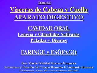 Vísceras de Cabeza y Cuello APARATO DIGESTIVO CAVIDAD ORAL Lengua y Glándulas Salivares Paladar y Dientes FARINGE y ESÓF