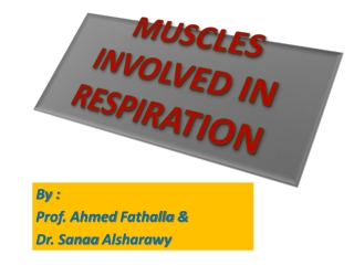 MUSCLES INVOLVED IN RESPIRATION