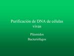 Purificaci n de DNA de c lulas vivas