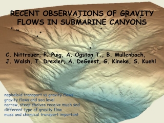 RECENT OBSERVATIONS OF GRAVITY FLOWS IN SUBMARINE CANYONS