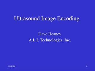 Ultrasound Image Encoding