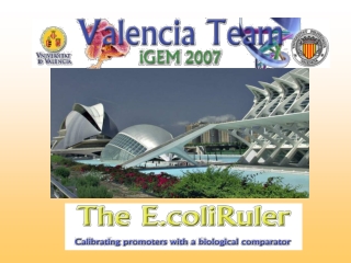 Introduction Comparator E.coliRuler in silico  work lab work Further applications Conclusions