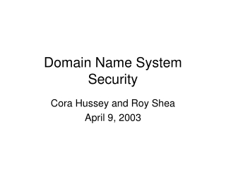 Domain Name System Security