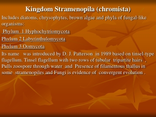 Kingdom Stramenopila (chromista)