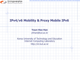 IPv4/v6 Mobility &amp; Proxy Mobile IPv6