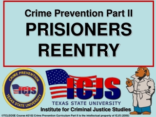 Institute for Criminal Justice Studies