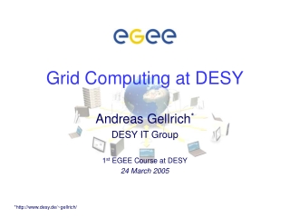 Grid Computing at DESY