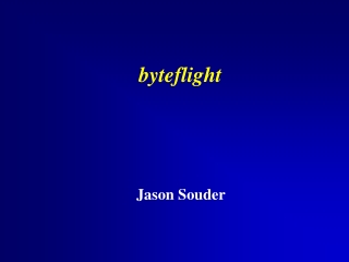 byteflight