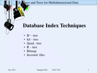 Database Index Techniques