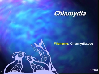 Chlamydia