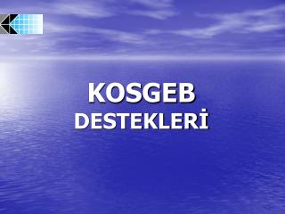 KOSGEB DESTEKLERİ
