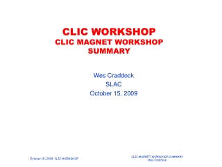 CLIC WORKSHOP  CLIC MAGNET WORKSHOP SUMMARY