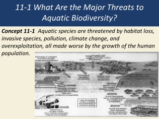 11-1 What Are the Major Threats to Aquatic Biodiversity?