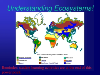 Understanding Ecosystems!