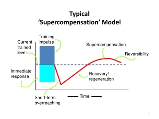 Typical ‘Supercompensation’ Model