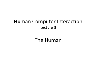 Human Computer Interaction Lecture 3 The Human