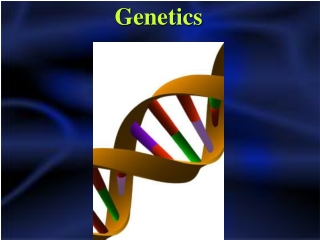 Genetics