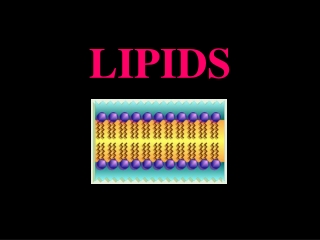 LIPIDS