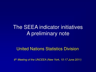 The SEEA indicator initiatives  A preliminary note