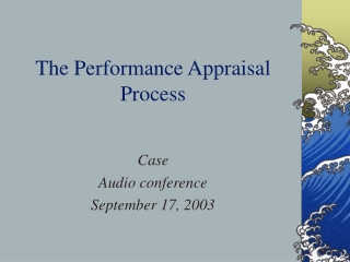 The Performance Appraisal Process